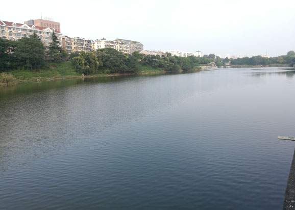 南京护城河西河蓝藻治理示范工程